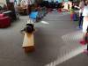 IMG_20260925_085403-Copy