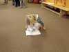 IMG-20240211-WA0023