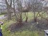 IMG-20240225-WA0006