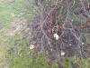 IMG-20240225-WA0015
